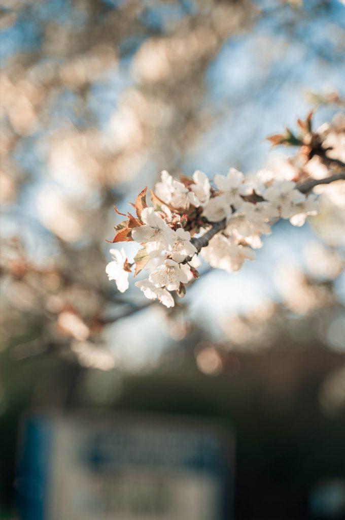 Pacchetto Ponti di Primavera - Hotel La Terrazza Assisi per coppie, famiglie ed amici in Umbria